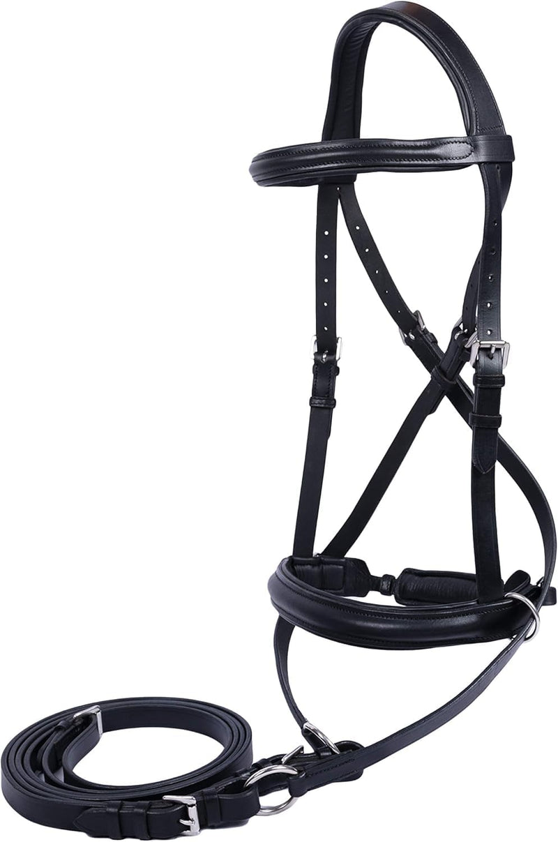 Bit & Bitless Bridles