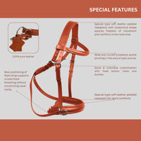 Wonder Care Genuine English Leather Crossover Crossunder Bitless Bridle for Horse Headstall with Reins - 5