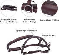 Wonder Care Genuine English Leather Crossover Crossunder Bitless Bridle for Horse Headstall with Reins - 9