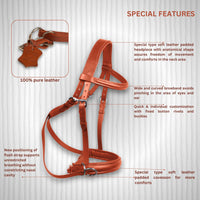 Wonder Care Genuine English Leather Crossover Crossunder Bitless Bridle for Horse Headstall with Reins - 9