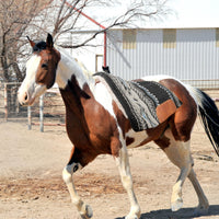 Hulara Equestrian Saddle Blanket with Chevron Pattern, Black and White, Heavy Duty Horse Saddle Pad